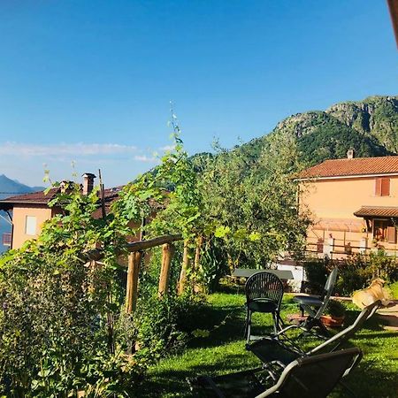 Agriturismo Botton D'Oro Dongo Eksteriør billede