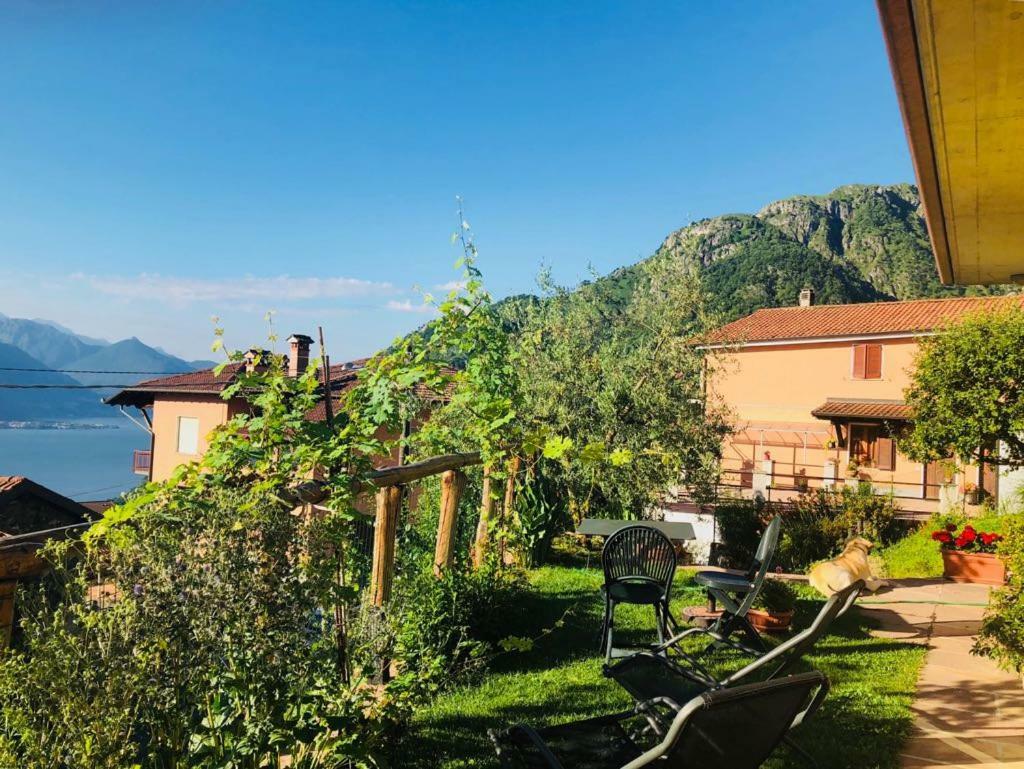 Agriturismo Botton D'Oro Dongo Eksteriør billede